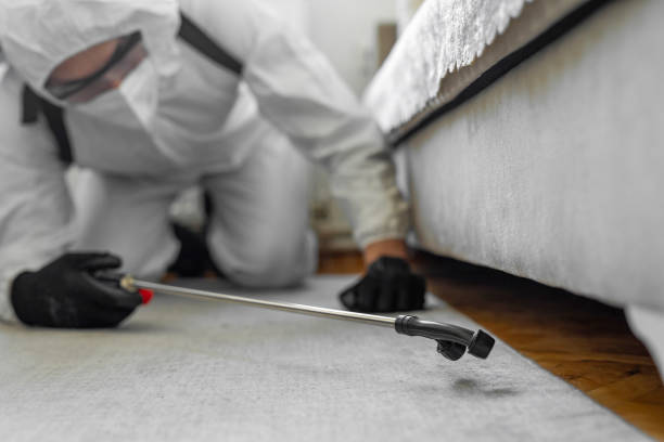 Professional Rodent Control technician working in Shortsville, NY