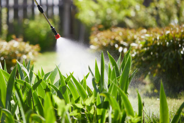 24/7 Emergency Rodent Control experts in Shortsville, NY