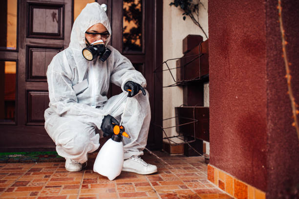 Reliable Rodent Control contractor in Shortsville, NY by Nex Pest Control