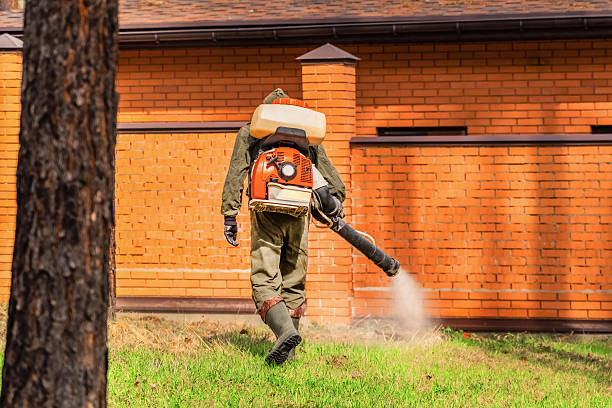 Trusted Termite Control service in Shortsville, NY - Nex Pest Control